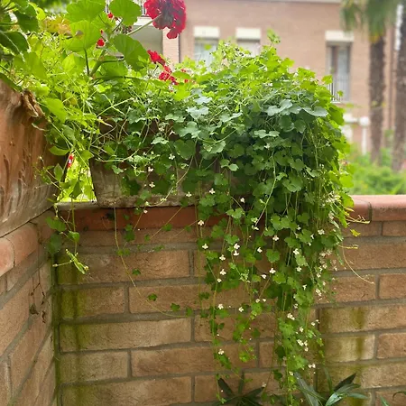 בית הארחה Con Giardino 3*