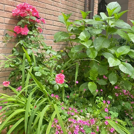 Con Giardino Penzion *
