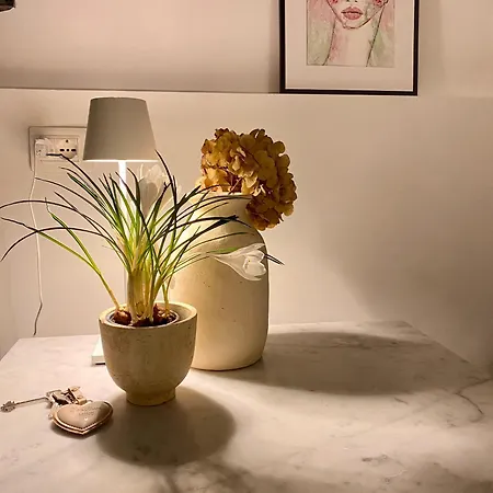 Гостьовий будинок Con Giardino
