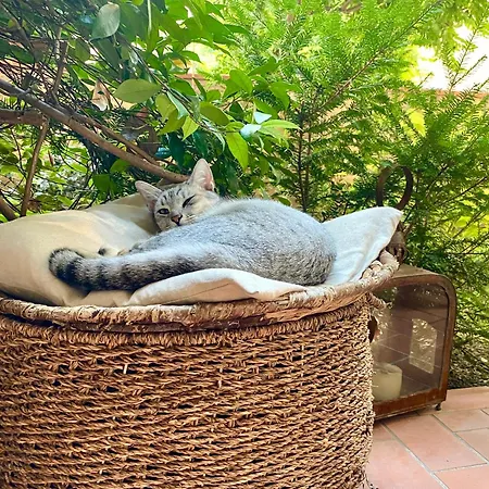 Con Giardino Гостевой дом 3*