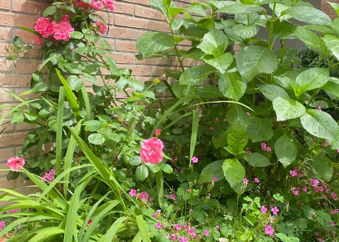 Con Giardino Gasthof 3*