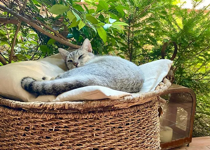 Con Giardino Gasthof 3*